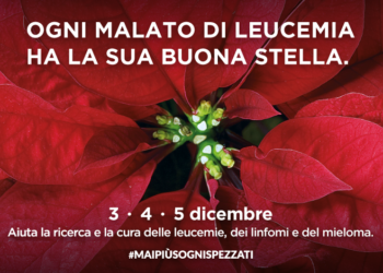 Siracusa. L’AIL torna in piazza con le stelle di Natale da oggi a domenica 5 dicembre