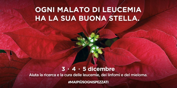 Siracusa. L’AIL torna in piazza con le stelle di Natale da oggi a domenica 5 dicembre