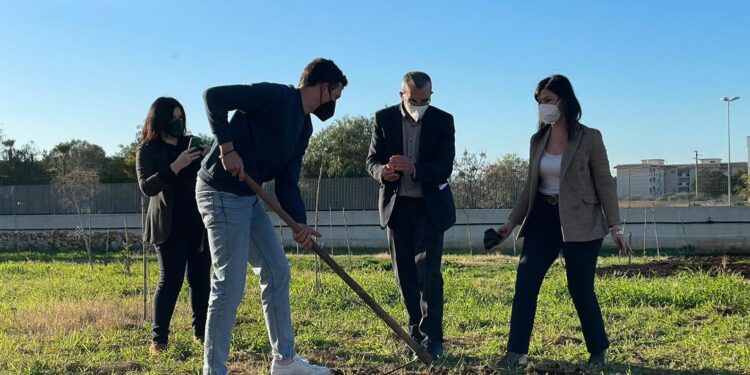 Siracusa. “Einaudi Ambiente Sostenibile – La transizione Ecologica è Scuola”, messe a dimora altre quattro piantine