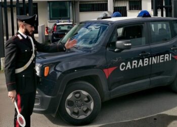 Lentini, piante di marijuana in un appartamento: arrestato un panettiere