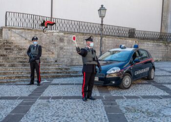 Palazzolo Acreide. Detenzione e coltivazione di stupefacenti, marito e moglie in arresto