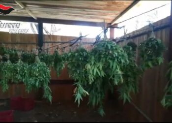 Priolo Gargallo. Marijuana e cocaina in un ovile, in manette un 58enne