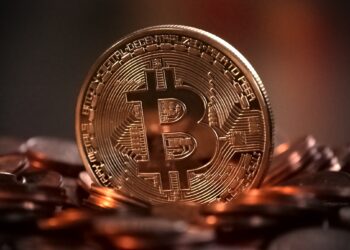 5 ragioni per cui Bitcoin ed Ethereum stanno diventando sempre più desiderabili